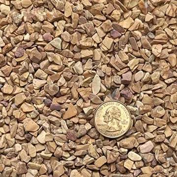 Eco-Friendly Decorative Wood Bean Pebbles for Gardening