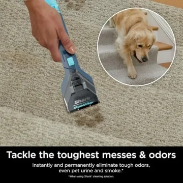 Best Handheld Upholstery Cleaner for Pets and Stains