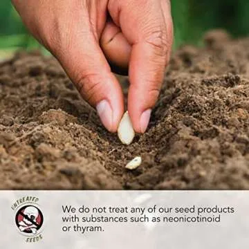 Seed Needs, Autumn Blaze Milkweed Seeds - 100 Heirloom Seeds for Planting Asclepias - Perennial Host Plant to Grow a Butterfly Garden, Attracts Monarchs (1 Pack)