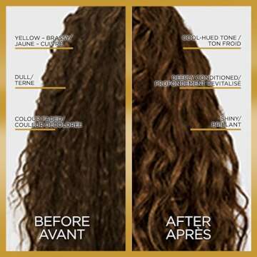 L'Oreal Paris Le Color One Step Toning Hair Gloss, Cool Brunette, 4 Ounce