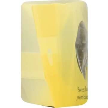 Chung Jung One Korean Sweet Potato Glass Noodle, 3.5 Oz