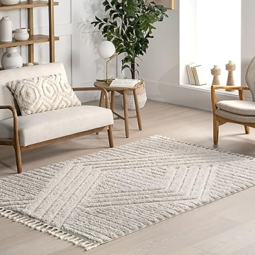 nuLOOM Risette Solid 4x6 Shag Area Rug - Elegant & Durable for Living Rooms, Nurseries, and More