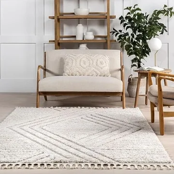 nuLOOM 4x6 Shag Area Rug - Soft & Stylish for Any Space