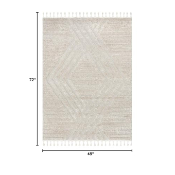 nuLOOM 4x6 Shag Area Rug - Soft & Stylish for Any Space