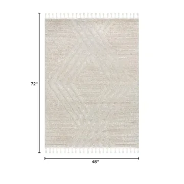 nuLOOM 4x6 Shag Area Rug - Soft & Stylish for Any Space