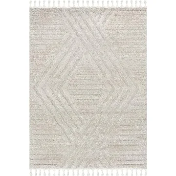 nuLOOM 4x6 Shag Area Rug - Soft & Stylish for Any Space