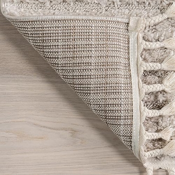 nuLOOM 4x6 Shag Area Rug - Soft & Stylish for Any Space