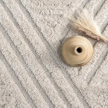 nuLOOM 4x6 Shag Area Rug - Soft & Stylish for Any Space