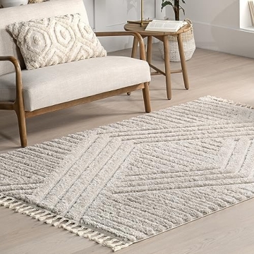 nuLOOM 4x6 Shag Area Rug - Soft & Stylish for Any Space