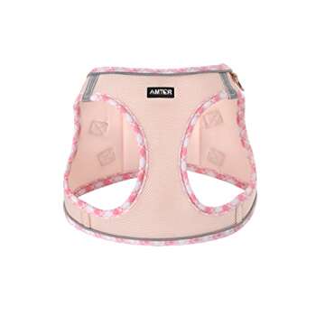 AMTOR Small Dog Harness with Leash Set, No Escape Easy Walk Puppy Harnesses for Training Walking, St...