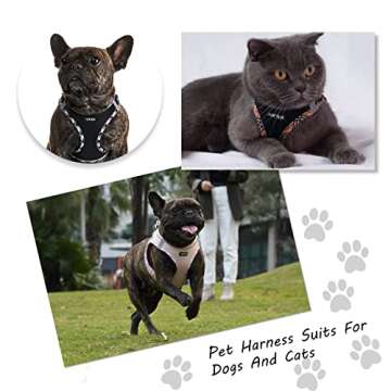 AMTOR Small Dog Harness with Leash Set, No Escape Easy Walk Puppy Harnesses for Training Walking, Step-in Reflective Soft Dogs Vest for XS S Medium Extra-Small Large Sized Dog(Pink,L)