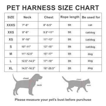 AMTOR Small Dog Harness with Leash Set, No Escape Easy Walk Puppy Harnesses for Training Walking, Step-in Reflective Soft Dogs Vest for XS S Medium Extra-Small Large Sized Dog(Pink,L)
