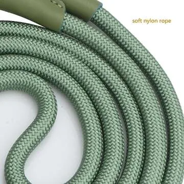 Durable 5 FT Nylon Dog Leash with Poop Bag Holder