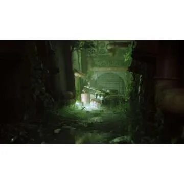 Stray (PS4) - A Unique Cat Adventure Game with Collectible Art Cards
