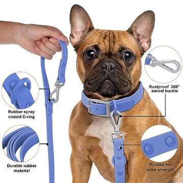Wisedog Waterproof Standard Dog Leashes with 2 Hooks, 5 ft/ 6 ft Lengths, Adjustable for Traffic Control Safety, for Small, Medium & Large Dogs Walking (Blue,S)