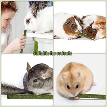 DELEMI 20pcs Natural Timothy Hay Sticks,Guinea Pig Chinchilla Rabbits Chew Toys Small Animals Treats Bunny Toys,Timothy Grass Molar Sticks Good for Pets Rats Bunny Teeth Health (Timothy Hay Sticks)