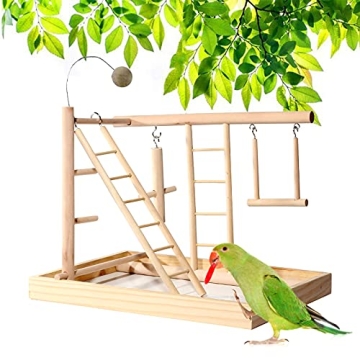 RoseFlower Bird Playstand with Swing & Ladder