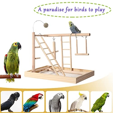 RoseFlower Bird Playstand with Swing & Ladder