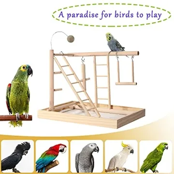 RoseFlower Bird Playstand with Swing & Ladder