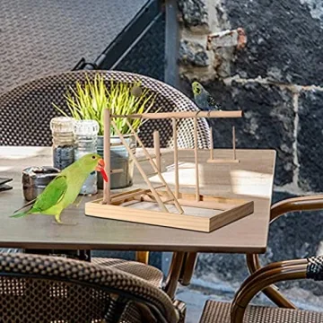 RoseFlower Bird Playstand with Swing & Ladder