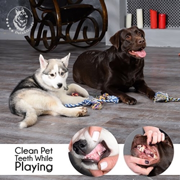 Durable Puppy Chew Toys for Safe Playtime Fun