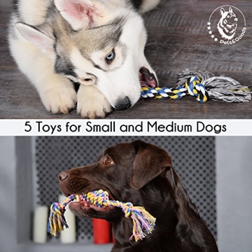 Durable Puppy Chew Toys for Safe Playtime Fun