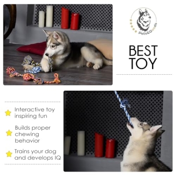 Durable Puppy Chew Toys for Safe Playtime Fun