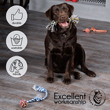 Durable Puppy Chew Toys for Safe Playtime Fun