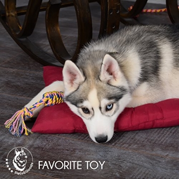 Durable Puppy Chew Toys for Safe Playtime Fun