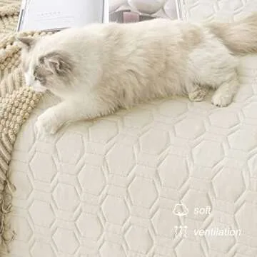 Tcksstex Waterproof and Anti-Slip Dog Bed Cover and Pet Blanket Sofa Pet Bed Mat ，car Incontinence Mattress Protectors Furniture Couch Cover for Most Cats Dogs, Pets（30x70-Ivory）