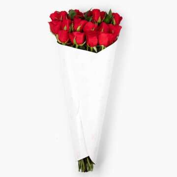 Aquarossa Farms - Red Roses Flowers Fresh Bouquet, Valentines Day Gifts for Her, Fresh Flowers for Delivery Prime, 12 Fresh Cut Stems