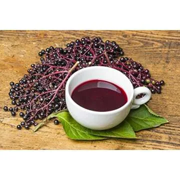 Elderberry Tea: Delicious Immunity Booster for Health Lovers