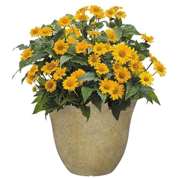Classic Honeysuckle Resin Flower Pot 15" for Garden