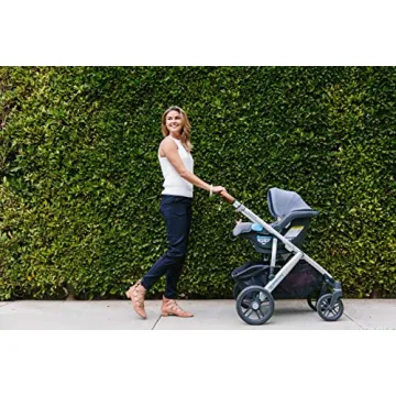 UPPAbaby VISTA V2 Stroller and MESA Car Seat Bundle