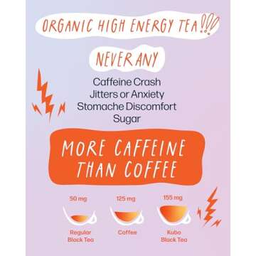 Kubo Tea, Reishi Breakfast Black Tea, Organic High Caffeine Tea, 20 Servings (155mg Caffeine each), Pillow Tea Bags, Compostable Packaging, Healthy Coffee Substitute (Lion's Mane Mushroom Chai Tea)