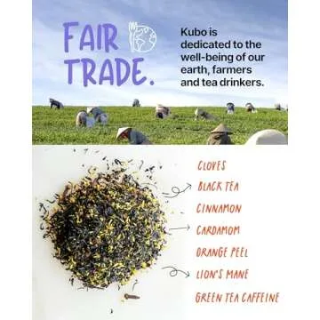 Kubo Tea, Reishi Breakfast Black Tea, Organic High Caffeine Tea, 20 Servings (155mg Caffeine each), Pillow Tea Bags, Compostable Packaging, Healthy Coffee Substitute (Lion's Mane Mushroom Chai Tea)