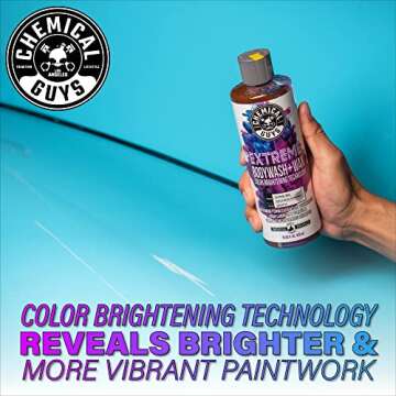 Chemical Guys CWS20764 Extreme Bodywash & Wax Foaming Car Wash Soap (For Foam Cannons, Guns or Bucket Washes) For Cars, Trucks, Motorcycles, RVs More, 64 fl oz (Half Gallon) Grape Scent