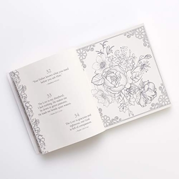 Color Your Faith with 365 Promises in a Compact Book