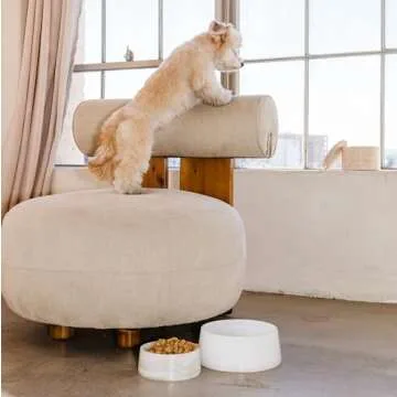 AME GEMELLA Travertine Stone Treat Jar with Lid - Premium Dog and Cat Treat Container - Elegant, Food-Safe Storage - Heavy, Non-Slip, Easy to Clean - Modern Pet Treat Canister (Tulum)