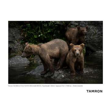 Tamron 150-500mm Lens for Nikon Z - Exceptional Quality
