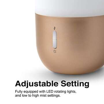 Chic Design Accents Essential Oil Diffuser - Dual Capacity