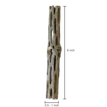 Natural Cholla Wood for Aquarium Decoration Shrimp and Fish Tank (6 Inch (3 Pack))