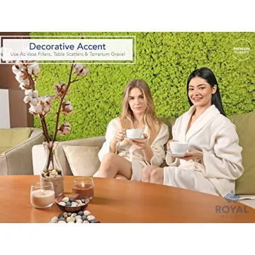 Royal Imports 5LBS Natural River Rocks for Garden & Home Decor