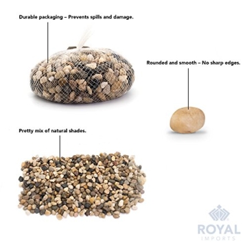 Royal Imports 5LBS Natural River Rocks for Garden & Home Decor