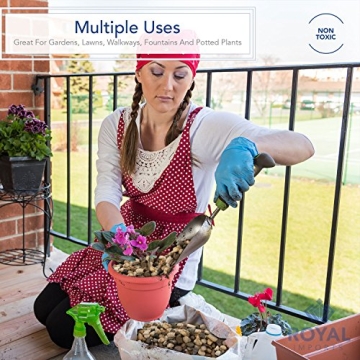 Royal Imports 5LBS Natural River Rocks for Garden & Home Decor