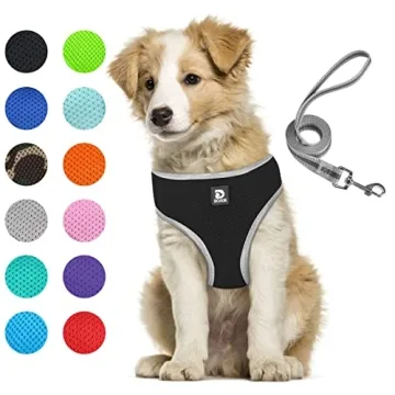 Premium Adjustable Dog Harness and Leash Set for Comfort and Safety - Soft Mesh Design
