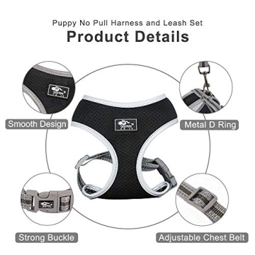 Puppy Harness and Leash Set for Small Medium Dogs Adjustable