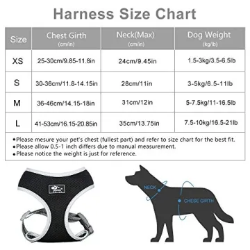 Puppy Harness and Leash Set for Small Medium Dogs Adjustable
