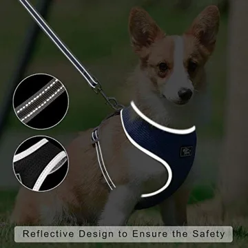 Puppy Harness and Leash Set for Small Medium Dogs Adjustable