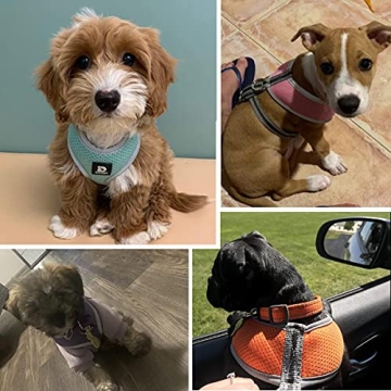 Puppy Harness and Leash Set for Small Medium Dogs Adjustable